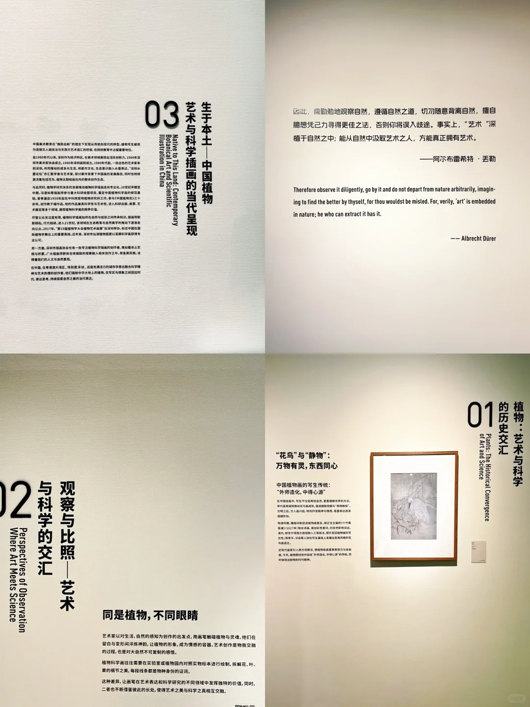 深圳新展！植物的美好香气，隔着屏幕都闻到了