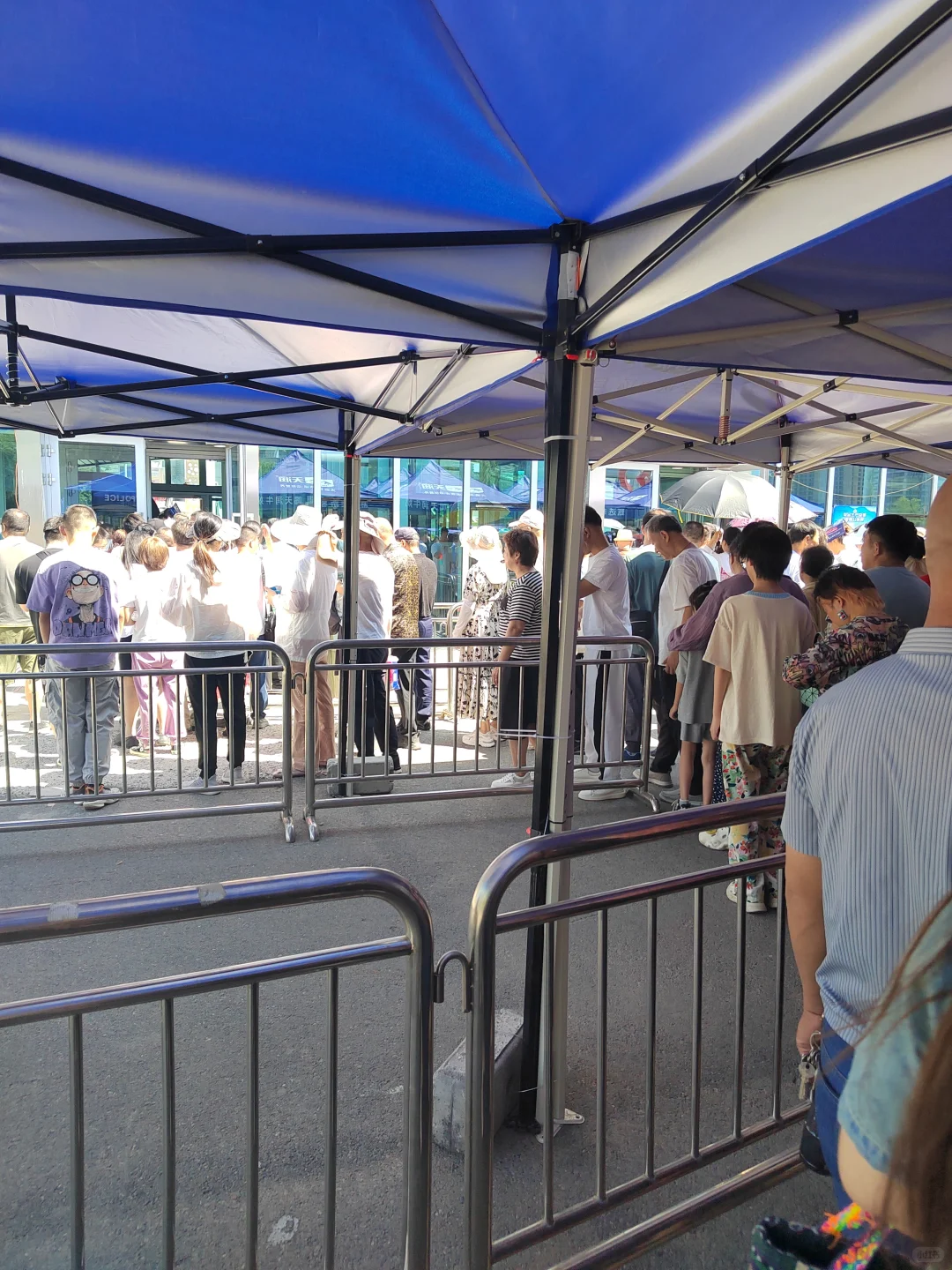 亚欧博览会羊毛指南?