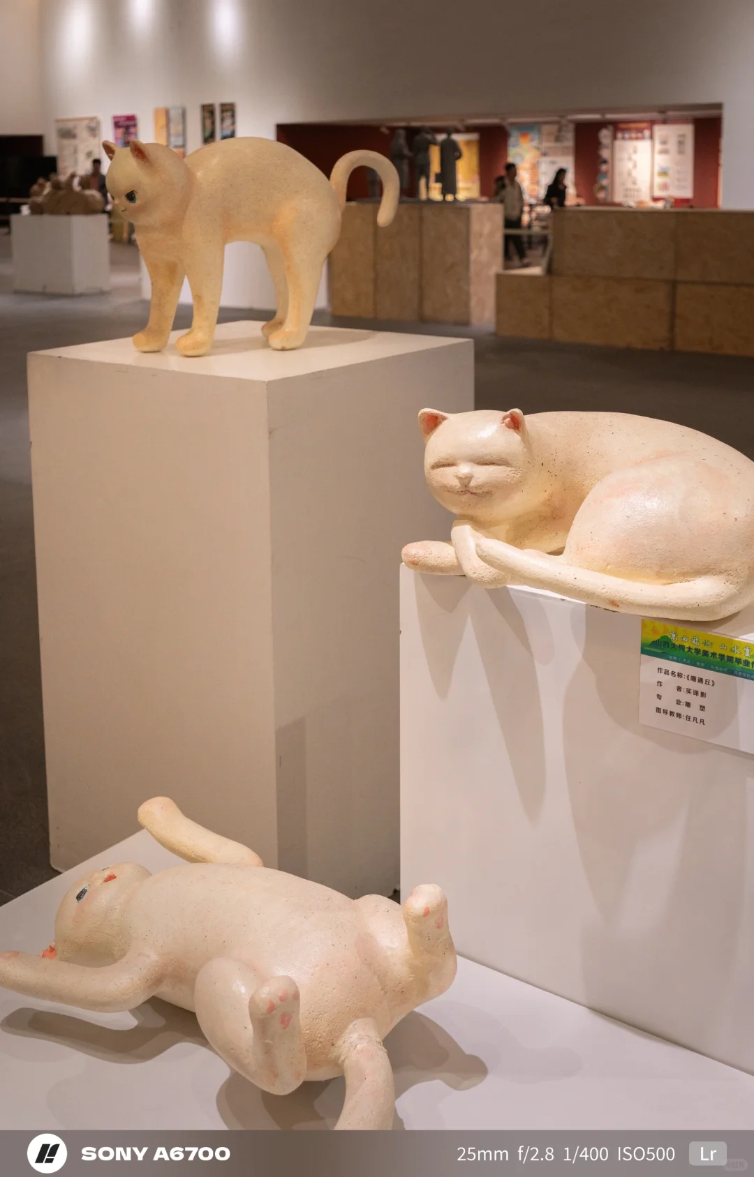 2⃣0⃣2⃣5⃣山西大同大学毕业设计展来喽～