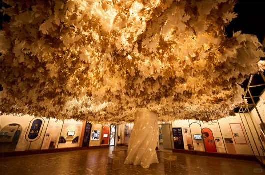 世博会上首个女性主题馆｜Women’s Pavilio