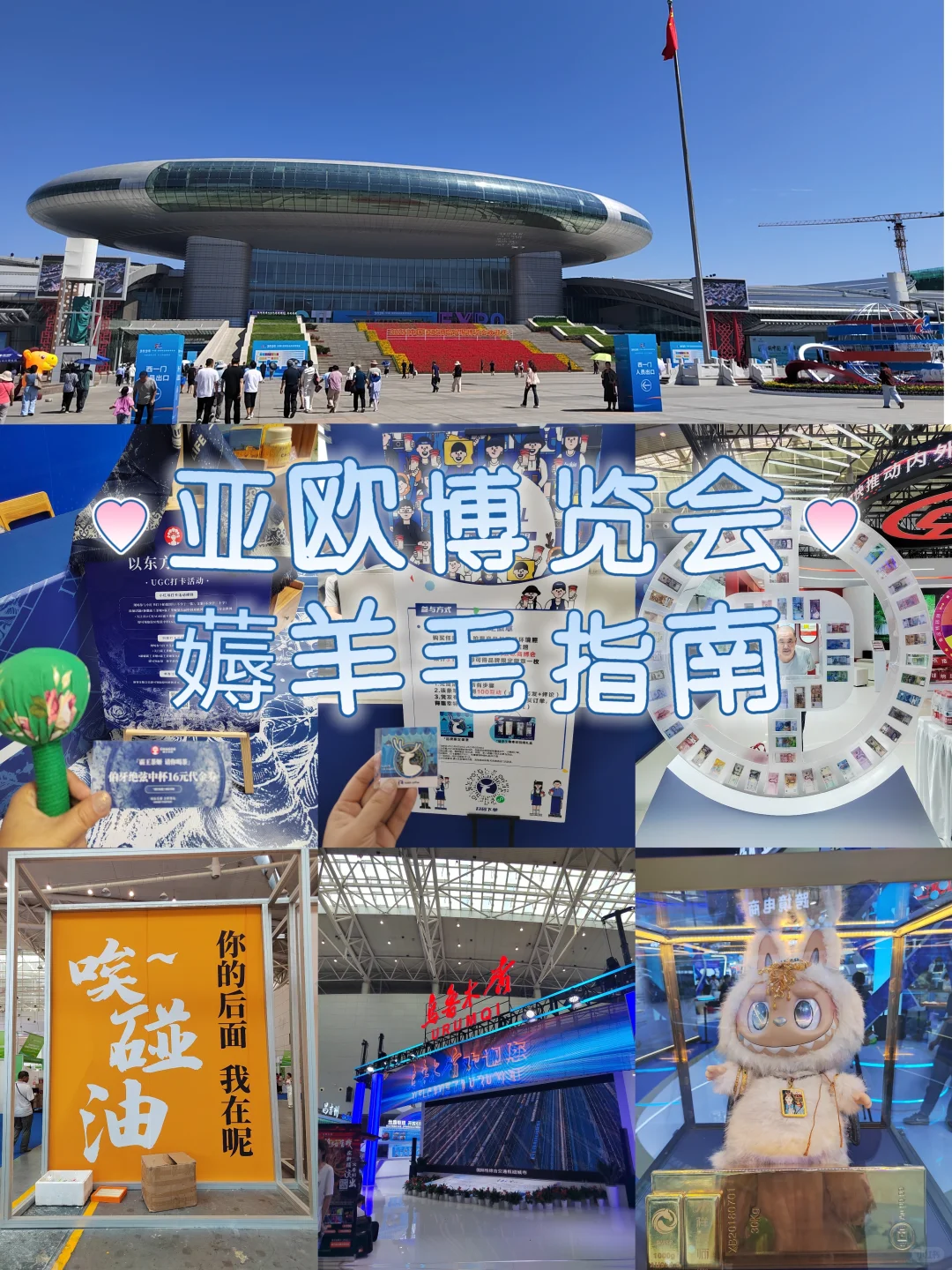 亚欧博览会羊毛指南?