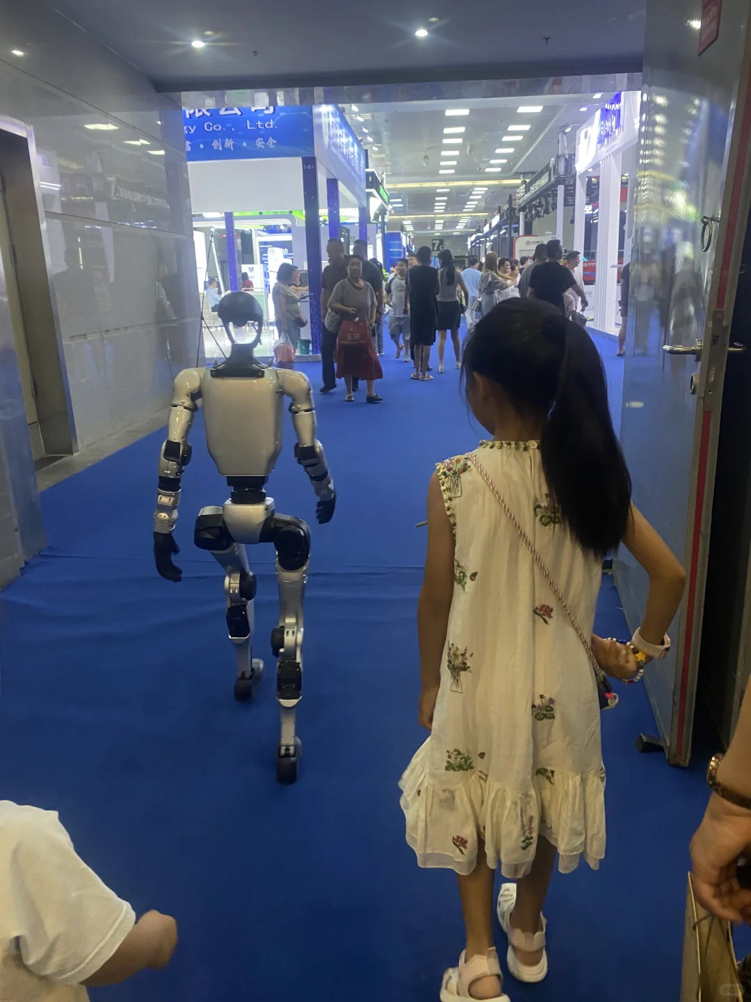 今年亚博会真是好逛