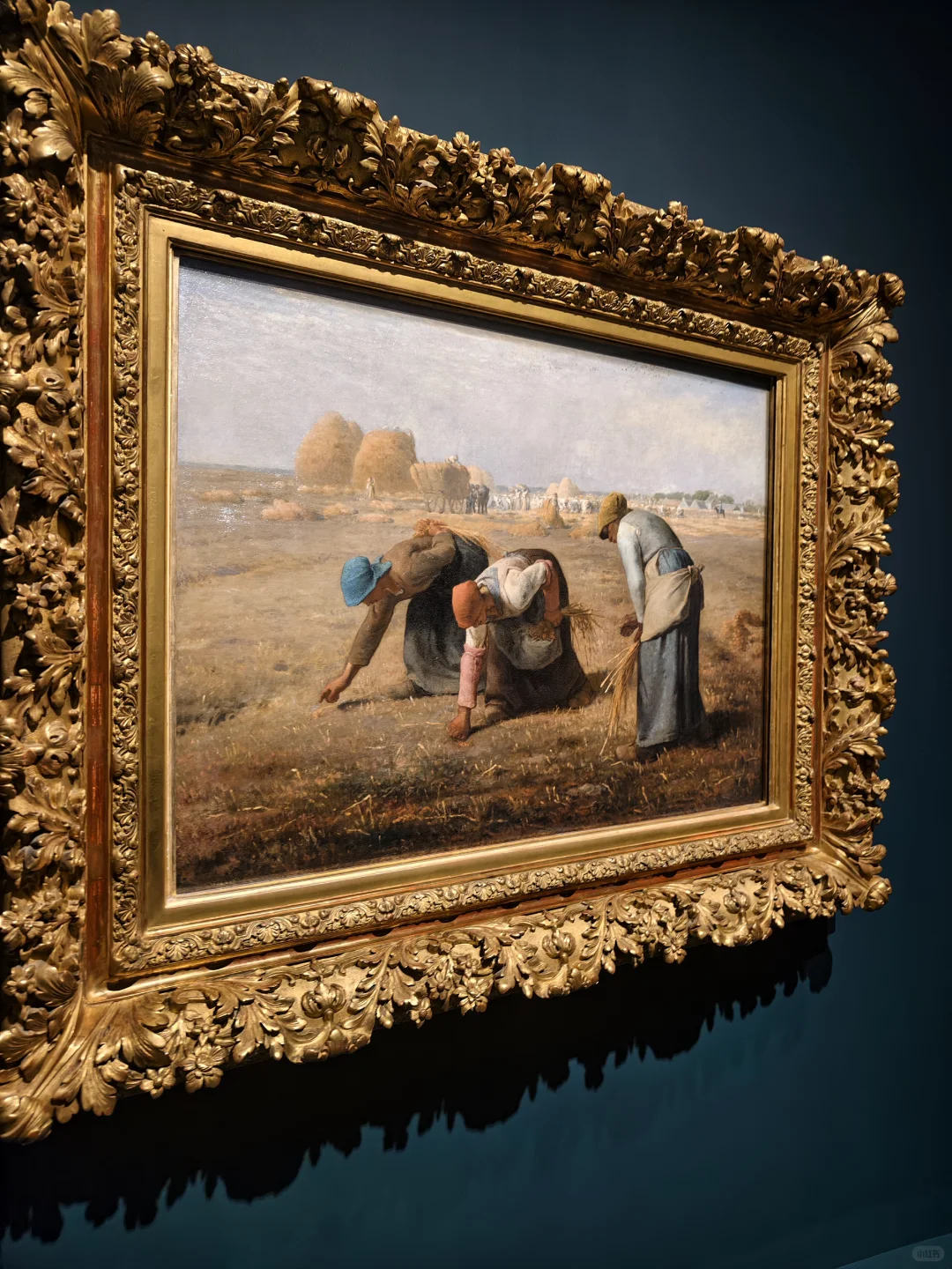 奥赛展会惩罚每个不做攻略的人！！避坑指南