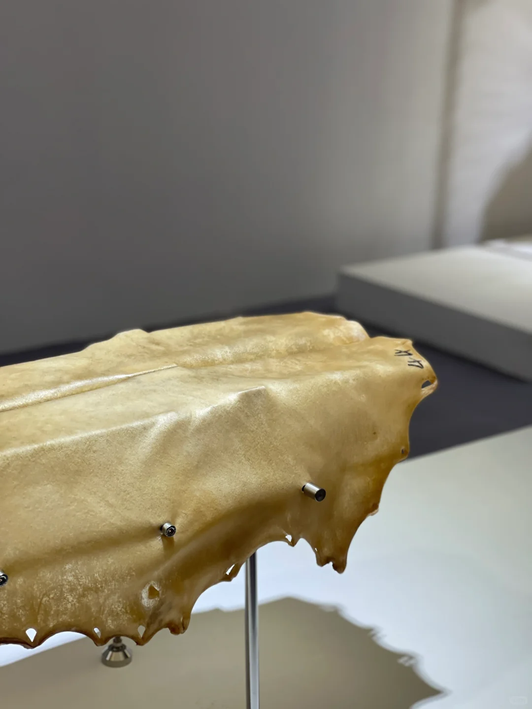 中国最大的设计盛会之一