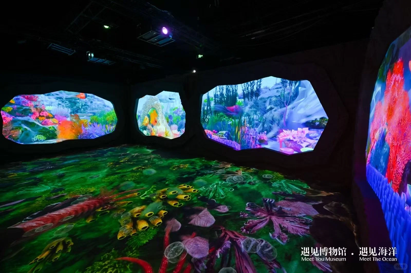?#遇见海洋奇幻光影展?