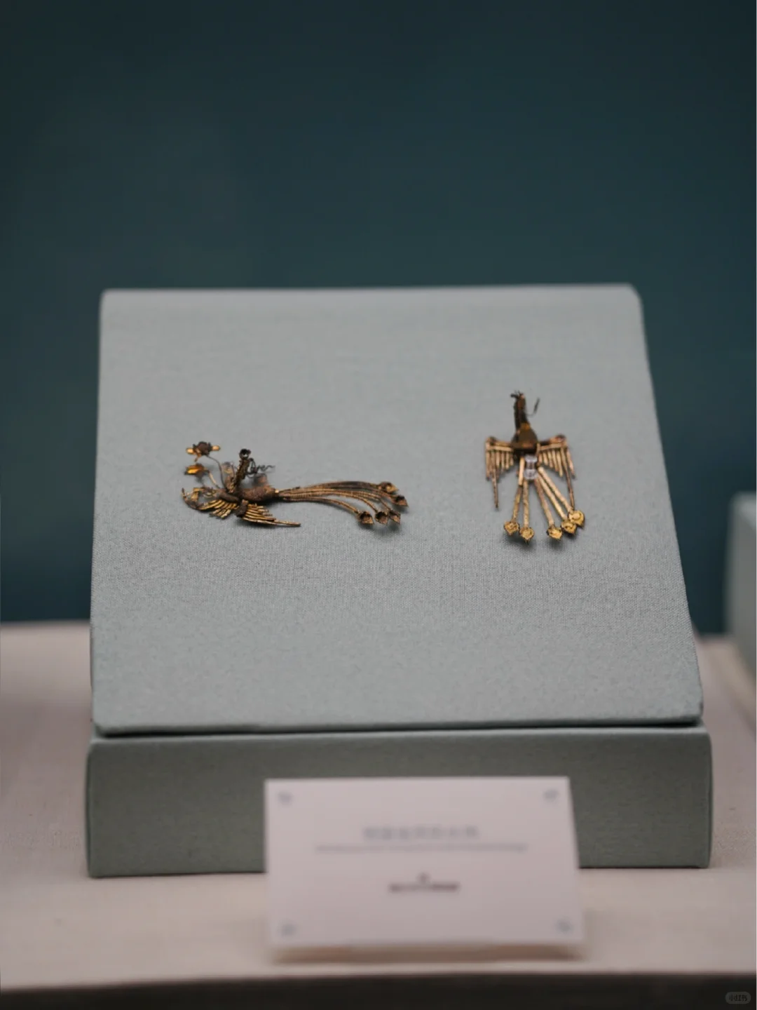 走进南宁《绝色展》解锁中国女性千生活美学