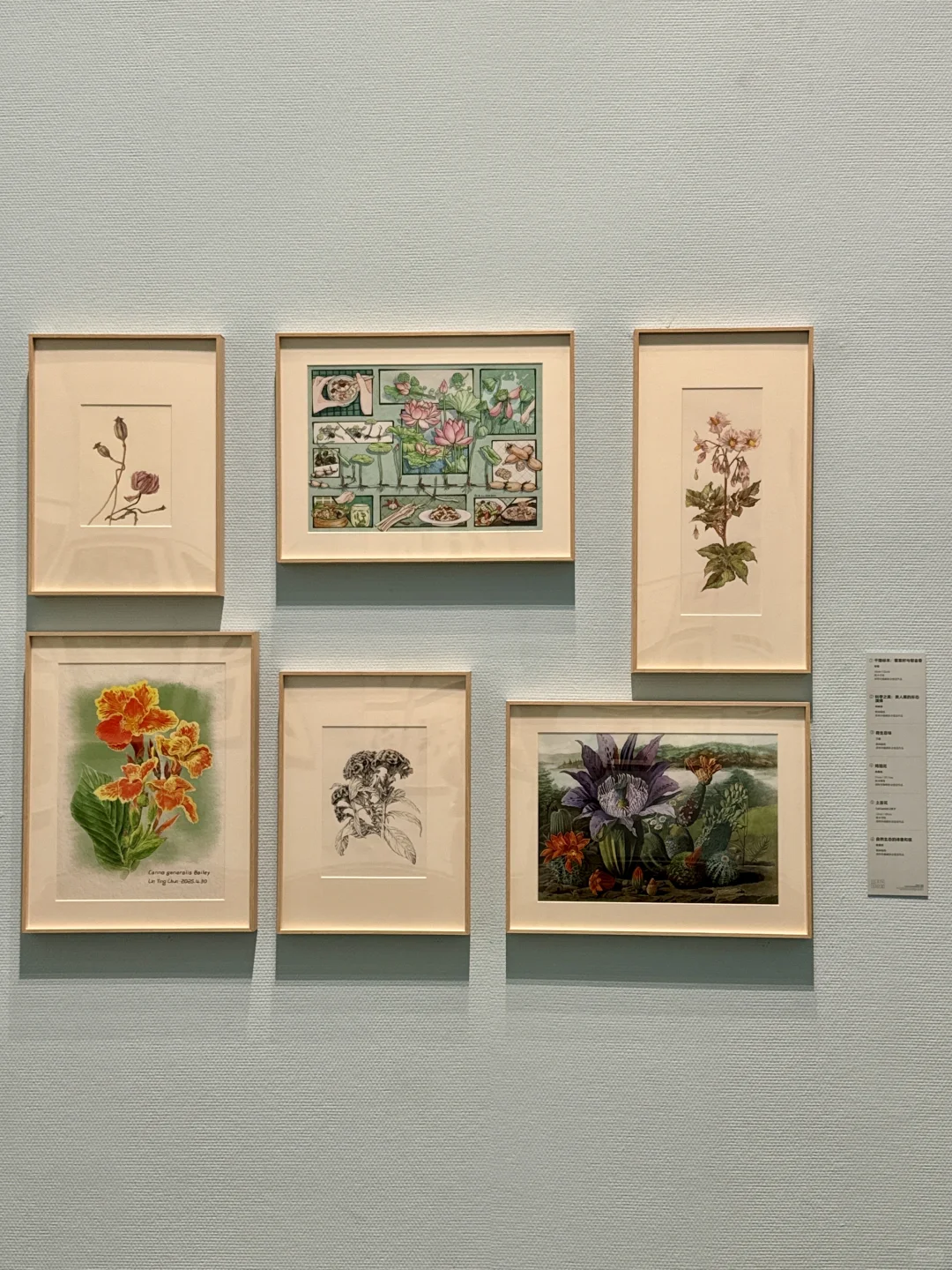 深圳新展！植物的美好香气，隔着屏幕都闻到了