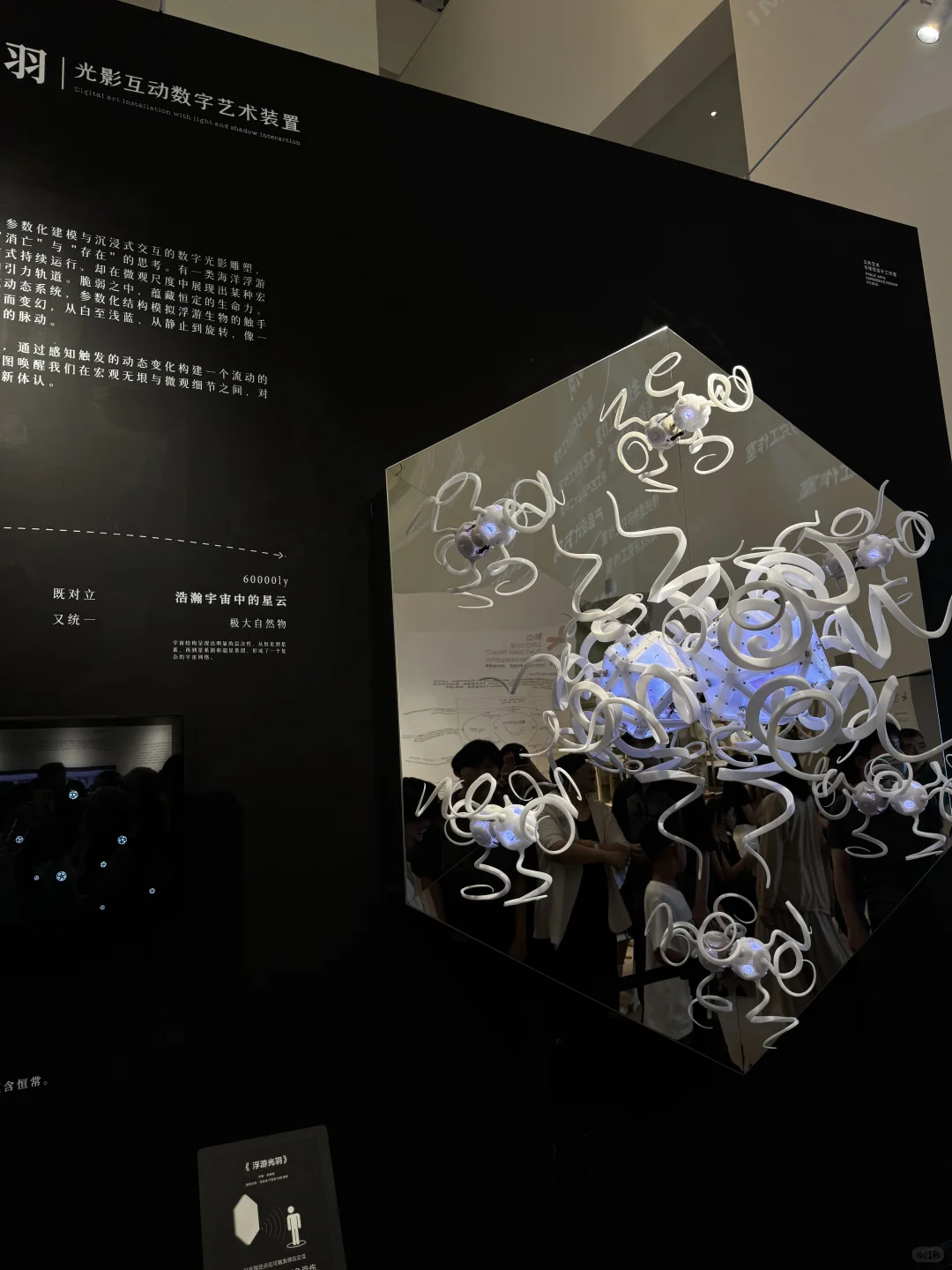 央美毕业设计展day1｜逐光而行 与光同行