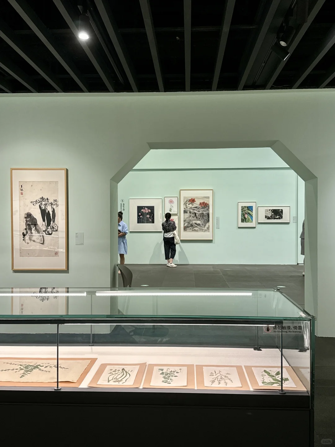 深圳新展！植物的美好香气，隔着屏幕都闻到了