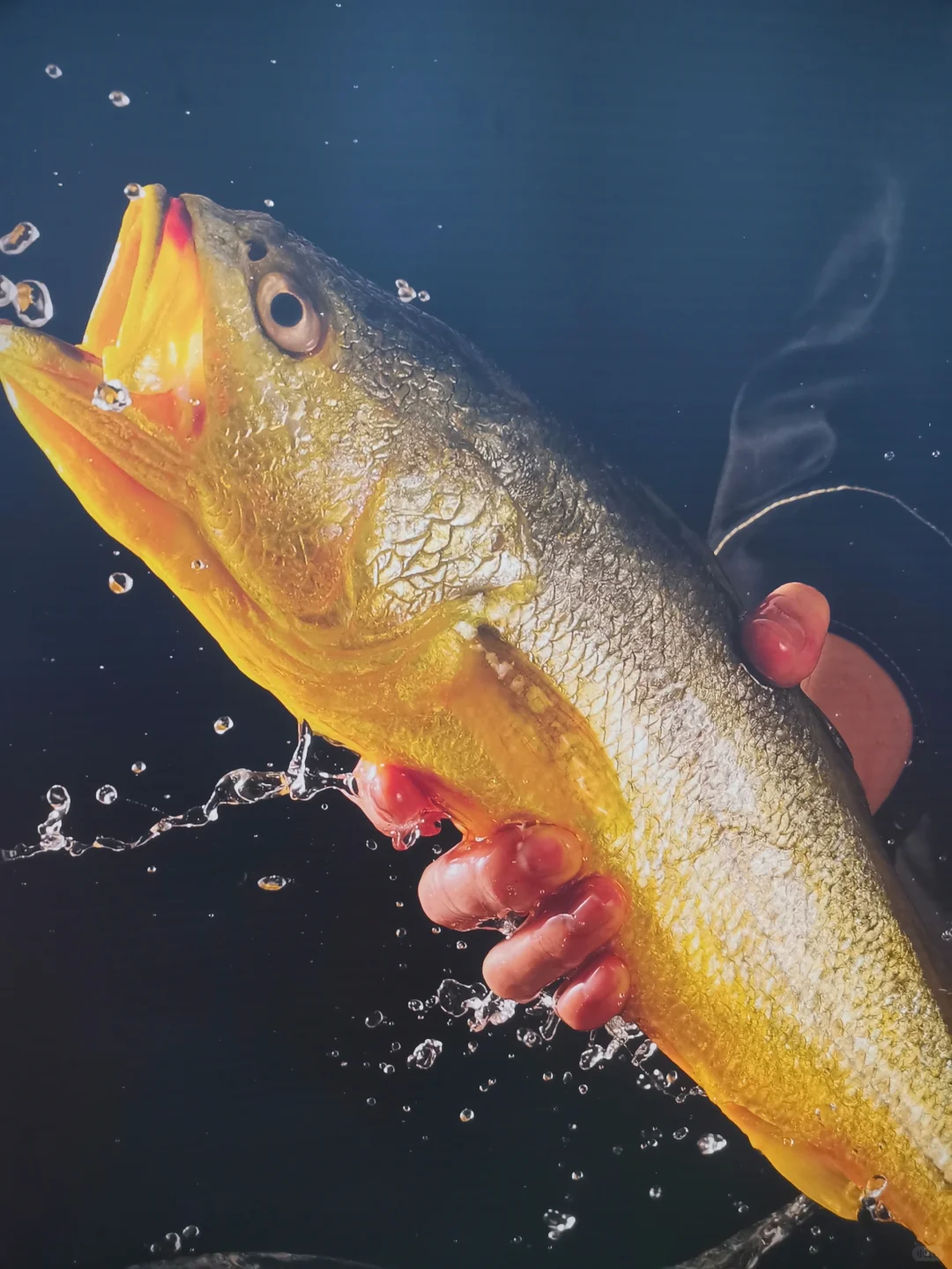 深圳跨境电商展很好 下次不会来了