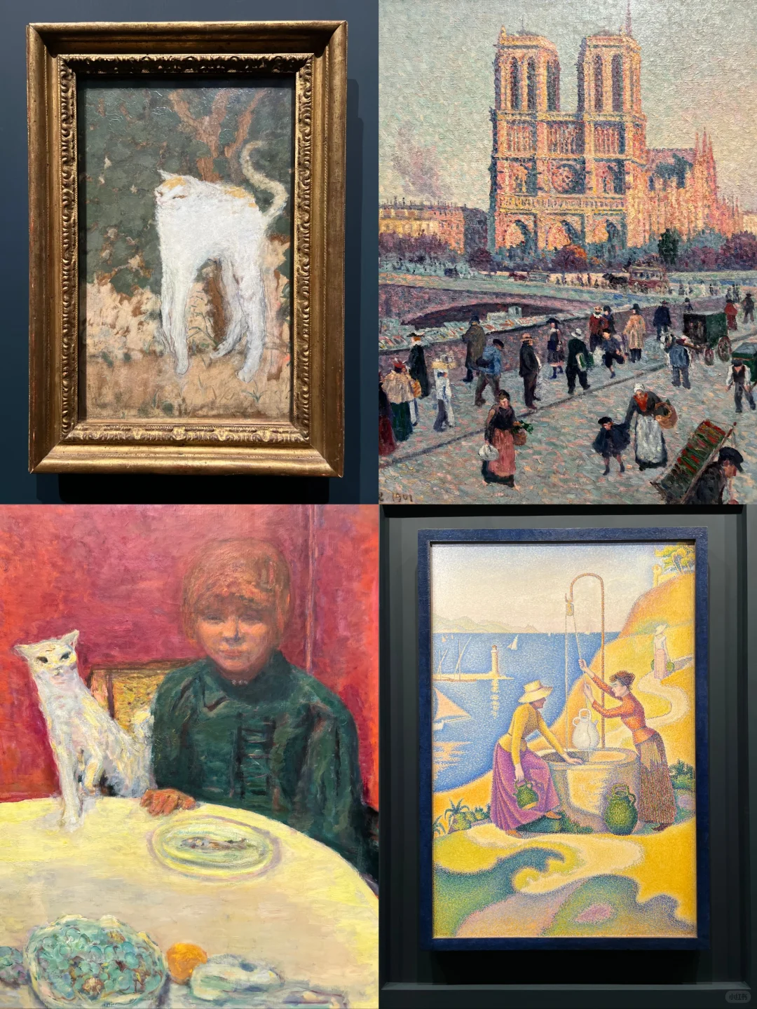 奥赛展会惩罚每个不做攻略的人！！避坑指南