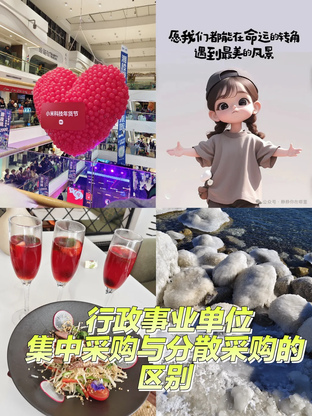 行政事业单位集中采购、分散采购与自行采购