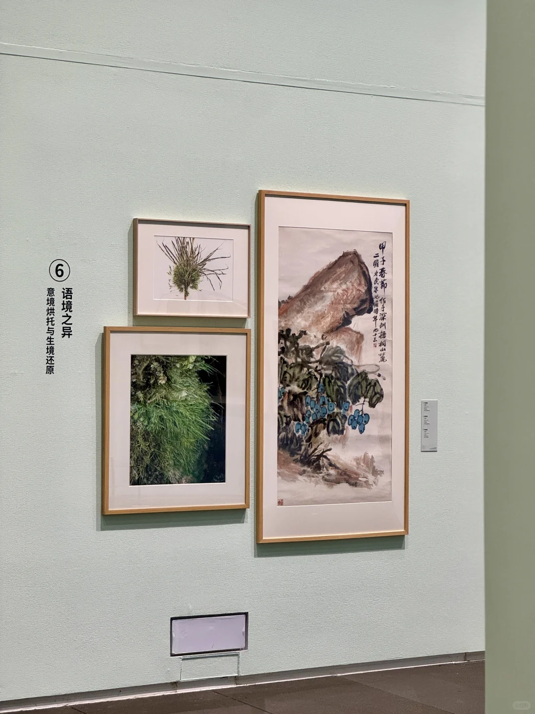 深圳新展！植物的美好香气，隔着屏幕都闻到了
