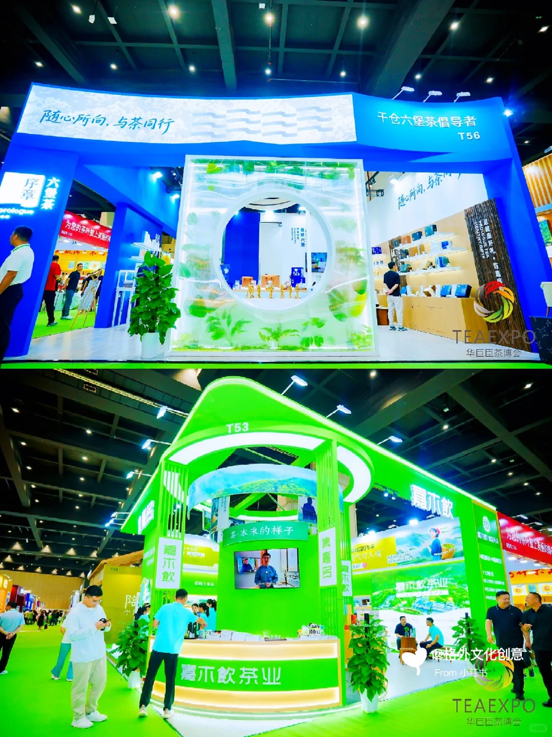 茶香满城：2025郑州茶产业博览会美陈设计