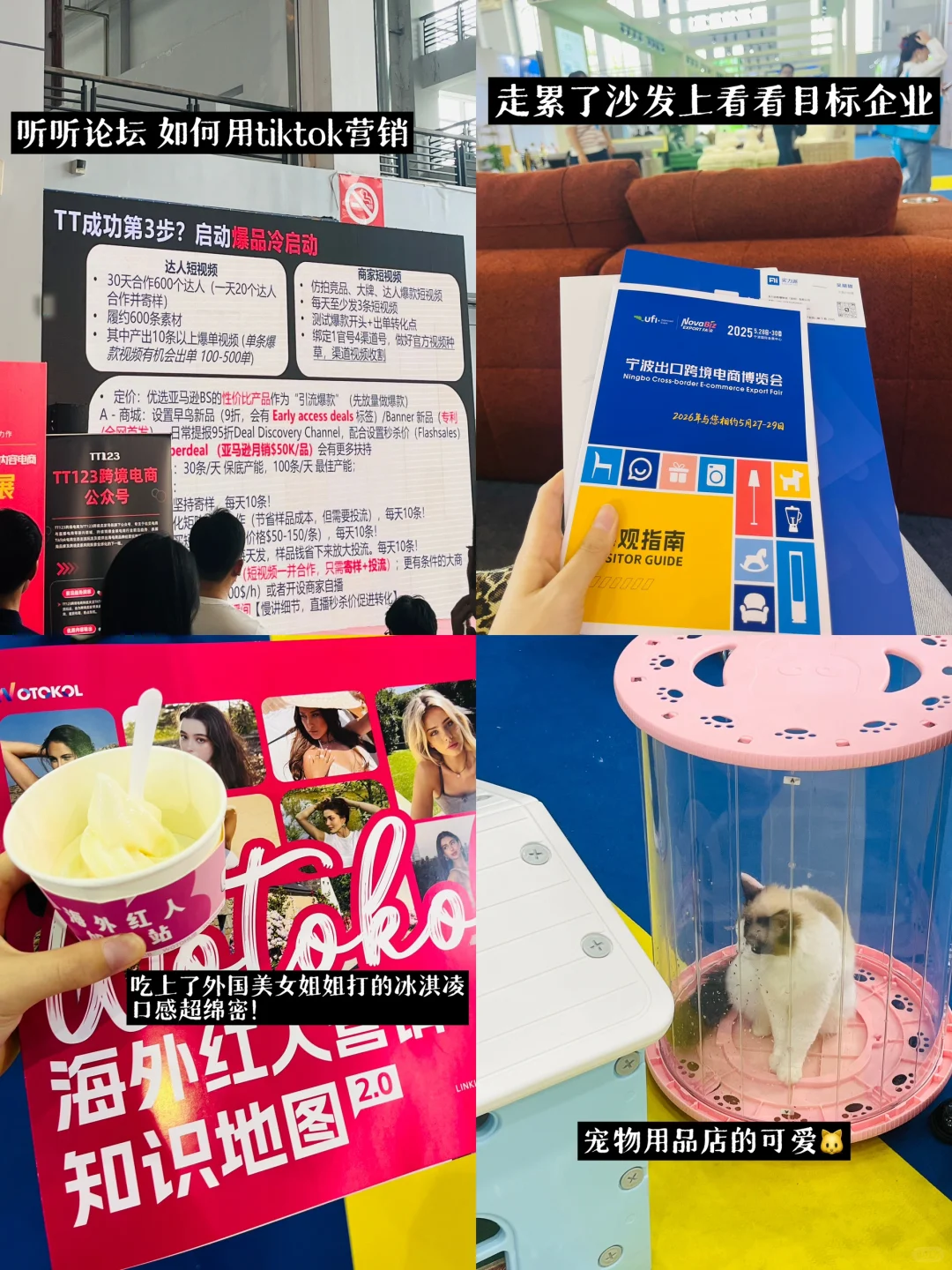 小白勇闯宁波跨境电商博览会