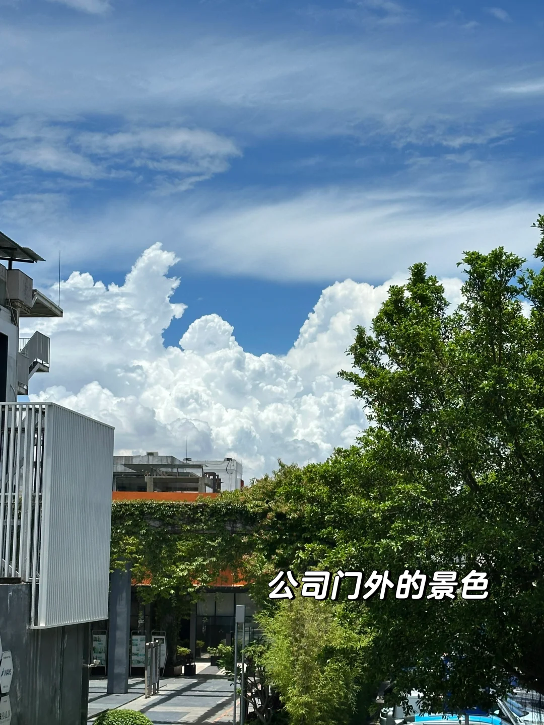 我又又又离职啦