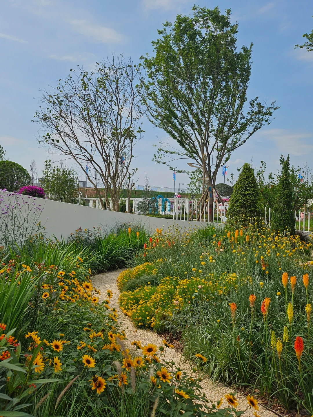 养生情侣的99种约会玩法（21/99）