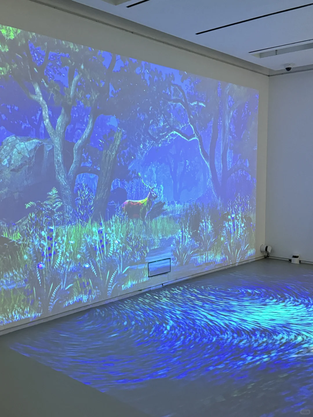 深圳新展！植物的美好香气，隔着屏幕都闻到了