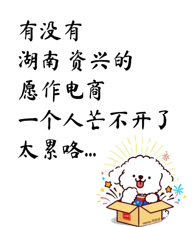 你想做电商吗？