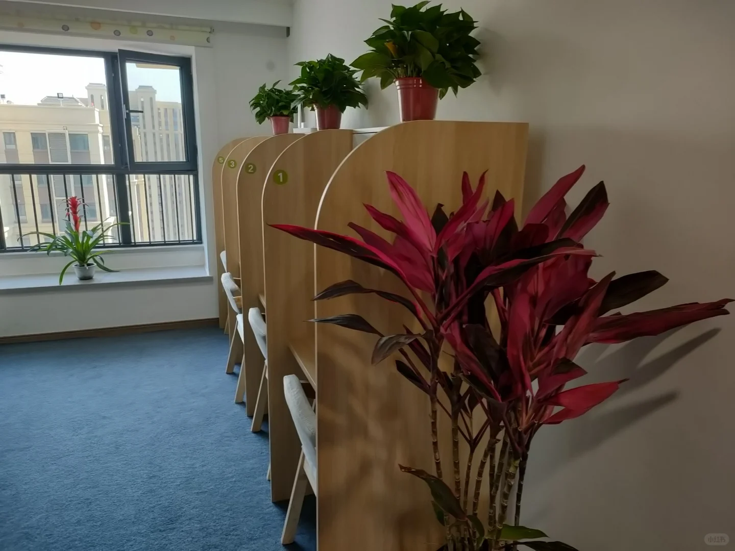 寄宿式自习室成本？不算不知道，一算吓一跳