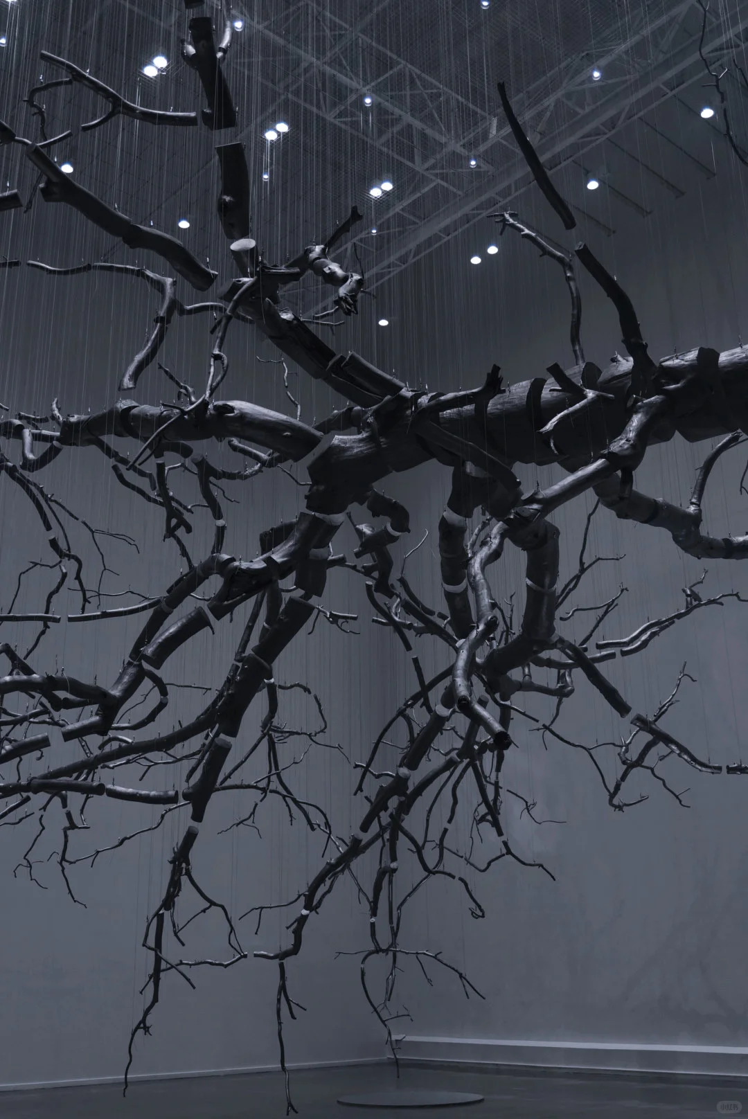 走进西贝当代艺术馆