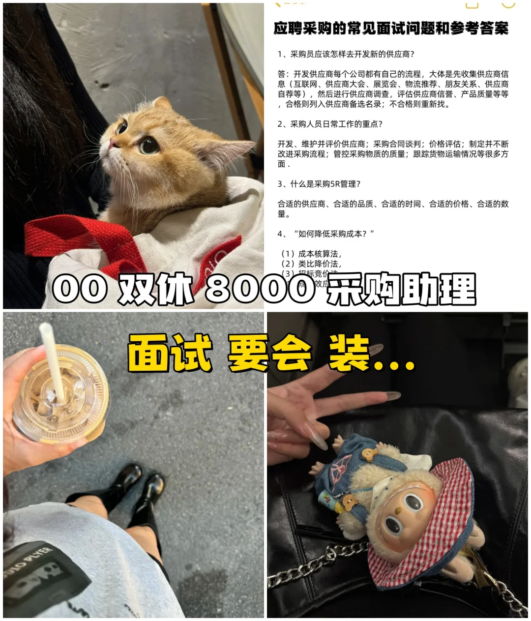 00｜双休 加班 8k｜0经验 采购?面试篇