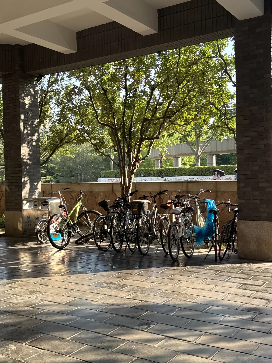 央美毕业设计展day1｜逐光而行 与光同行