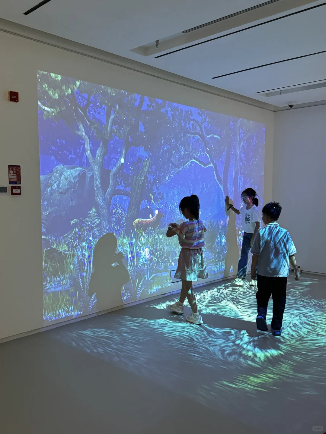 深圳新展！植物的美好香气，隔着屏幕都闻到了