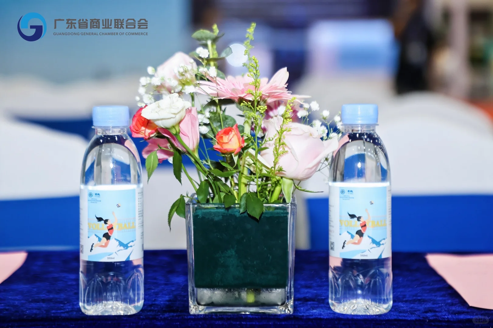 2025亚洲老字号企业展｜极屿分享品牌故事