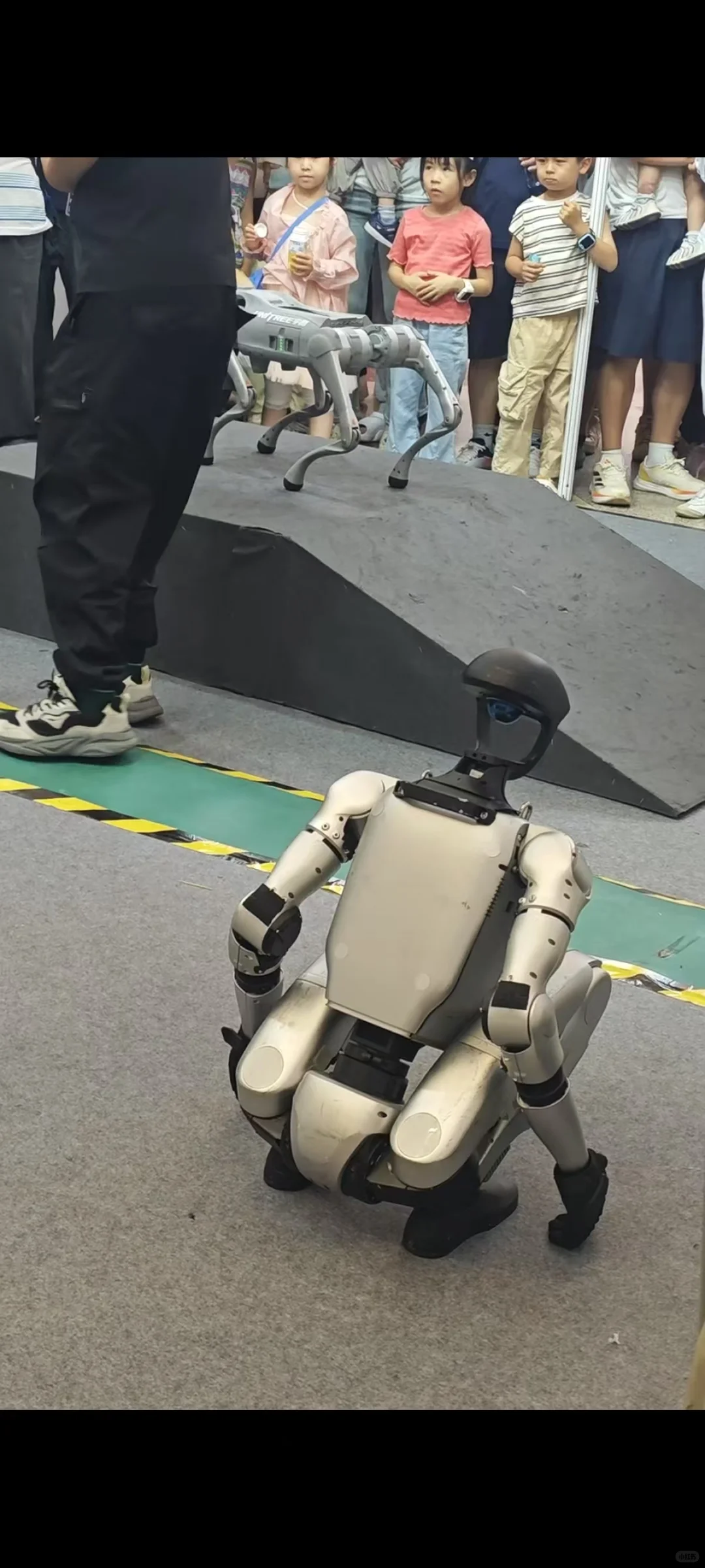 赶在最后一天参加美好生活博览会