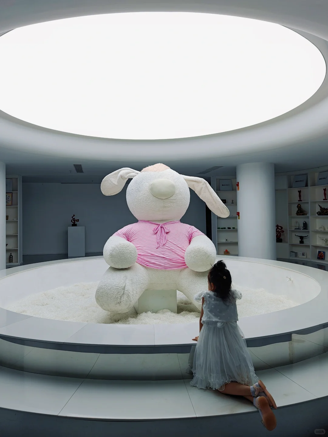 厦门遛娃｜推荐一个冷门免费但超级好拍的展