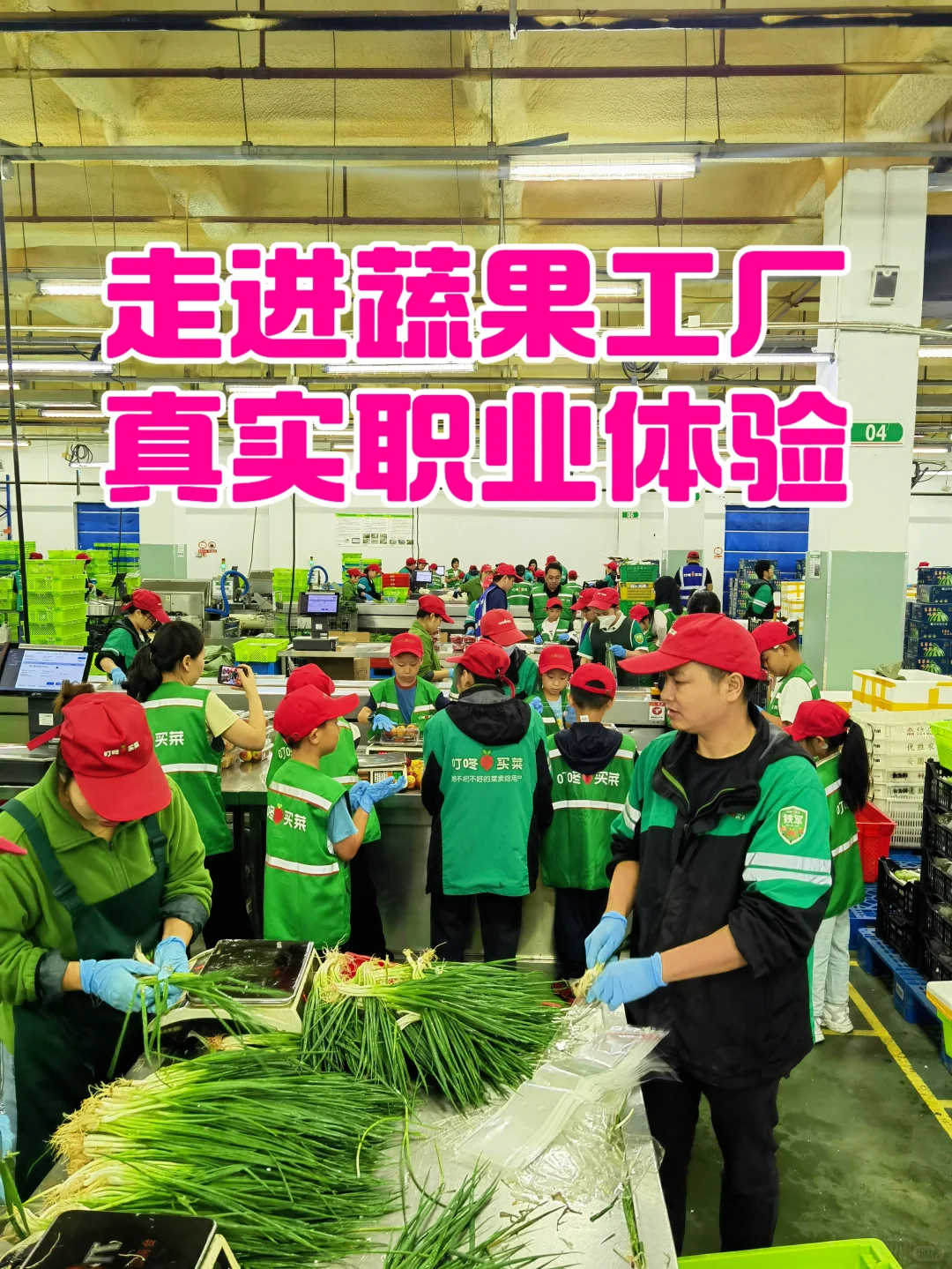 去深圳，要留一天带小孩看造飞机 造汽车