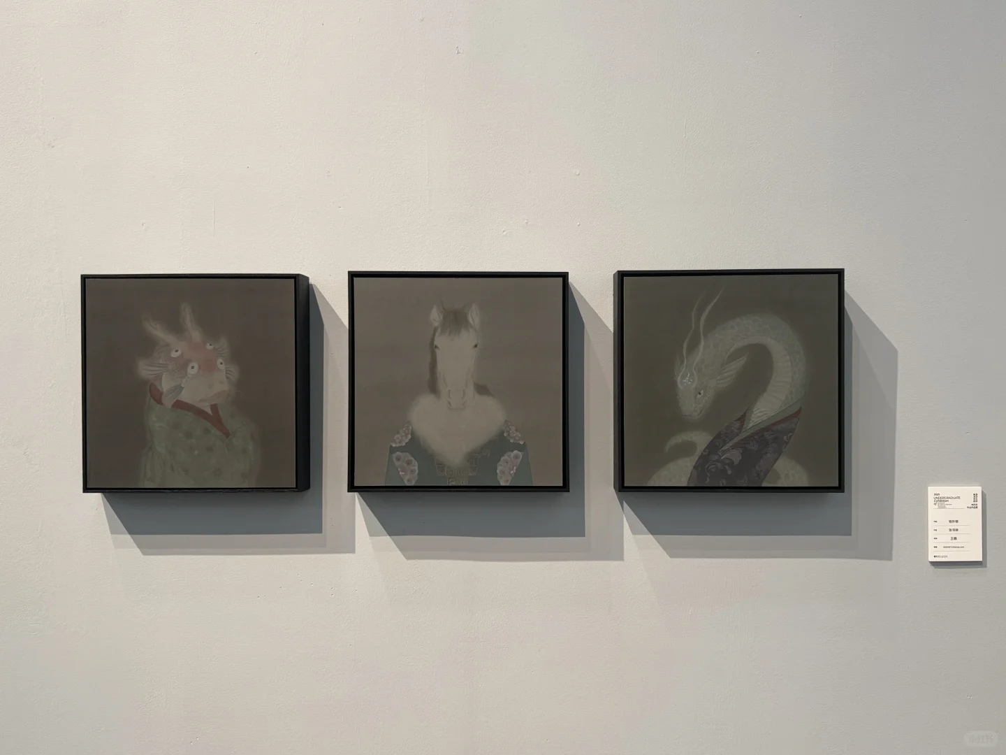 来看了清美本科毕业展