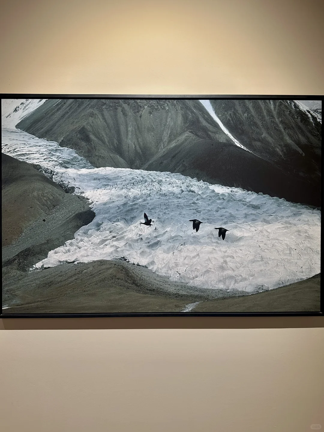 石家庄新展！终于来啦！? 太震撼啦！！