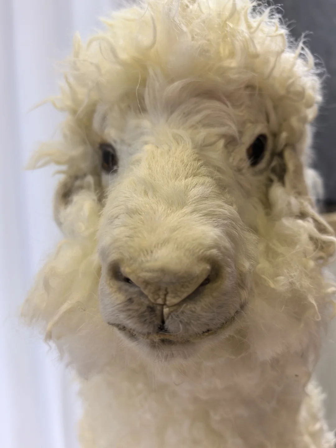 看展会啦！纺织服展?