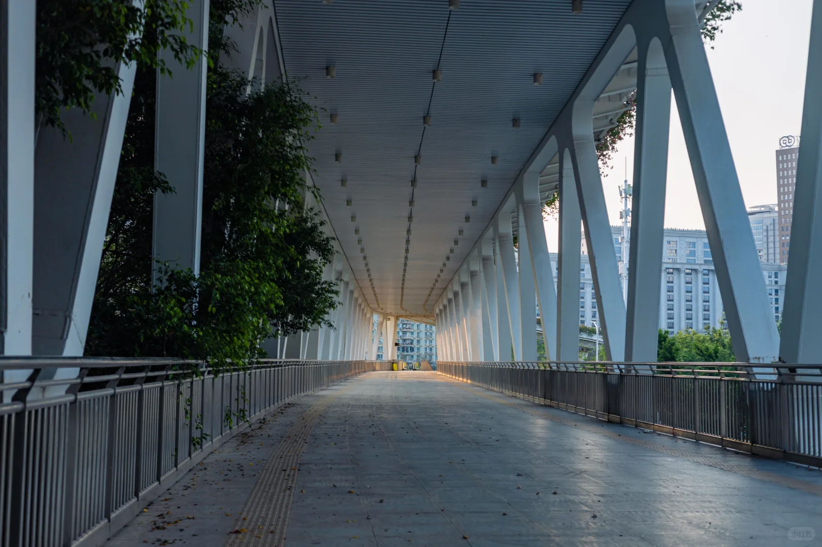 【迷路在南宁NO.1】?有热闹有安静