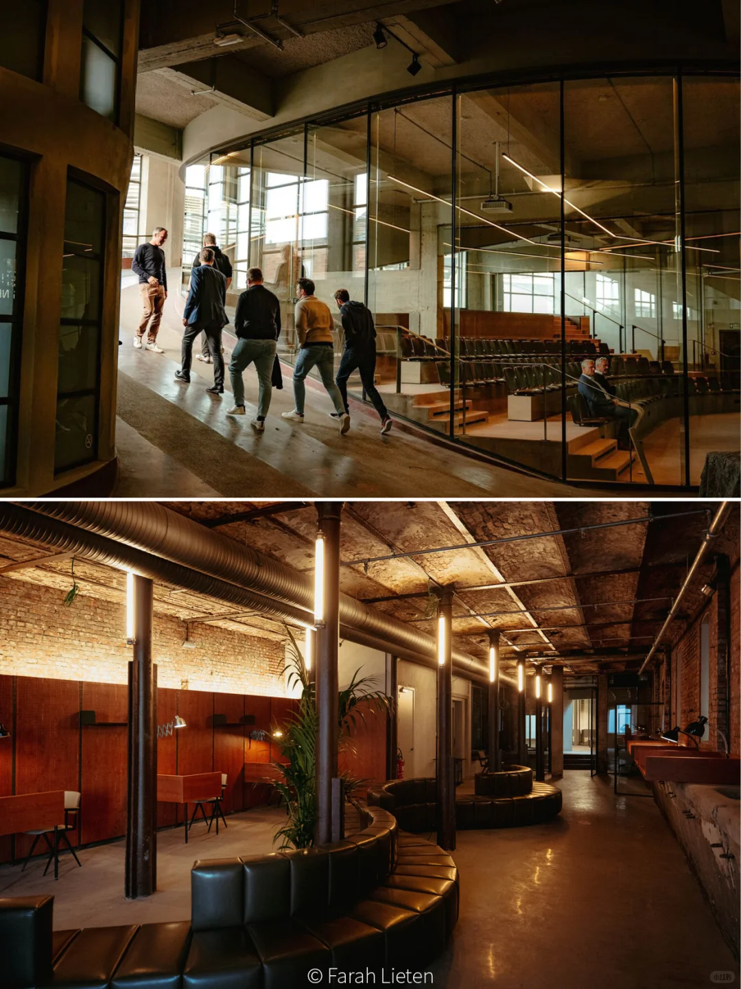 真·牛马?就来“马戏团”里办公