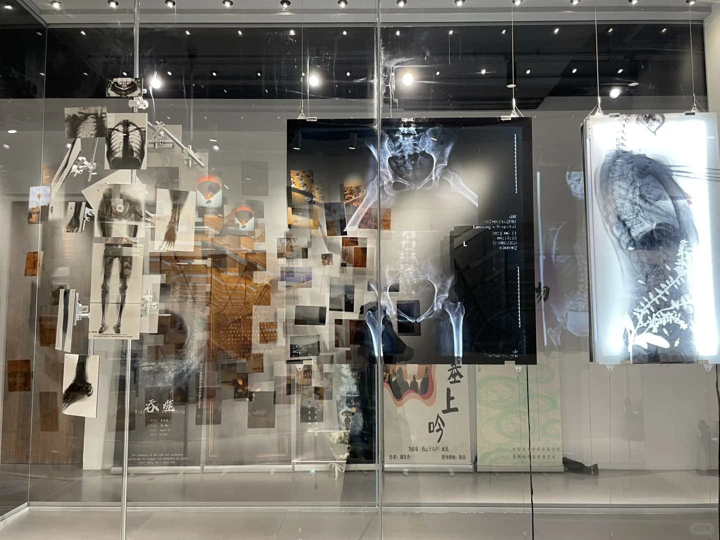 2025中国美术学院毕业展?