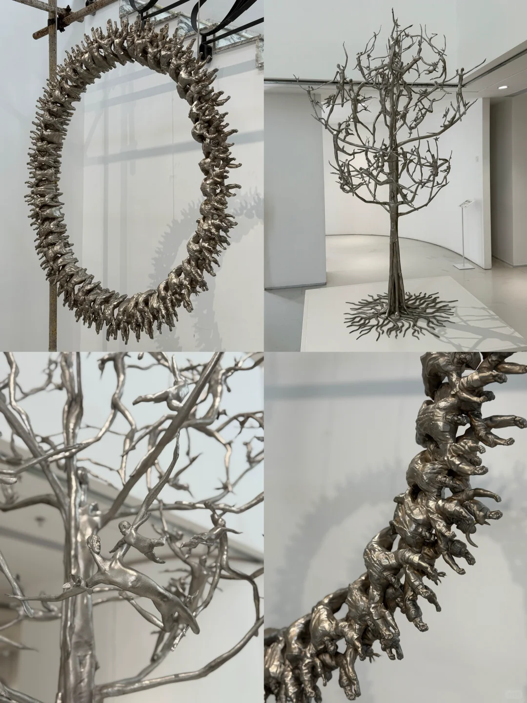 阳光明媚看看毕业设计展
