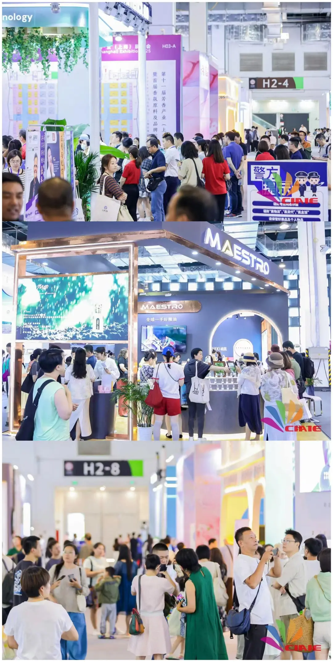 2025上海芳香展（时间+地点+门票）逛展攻略