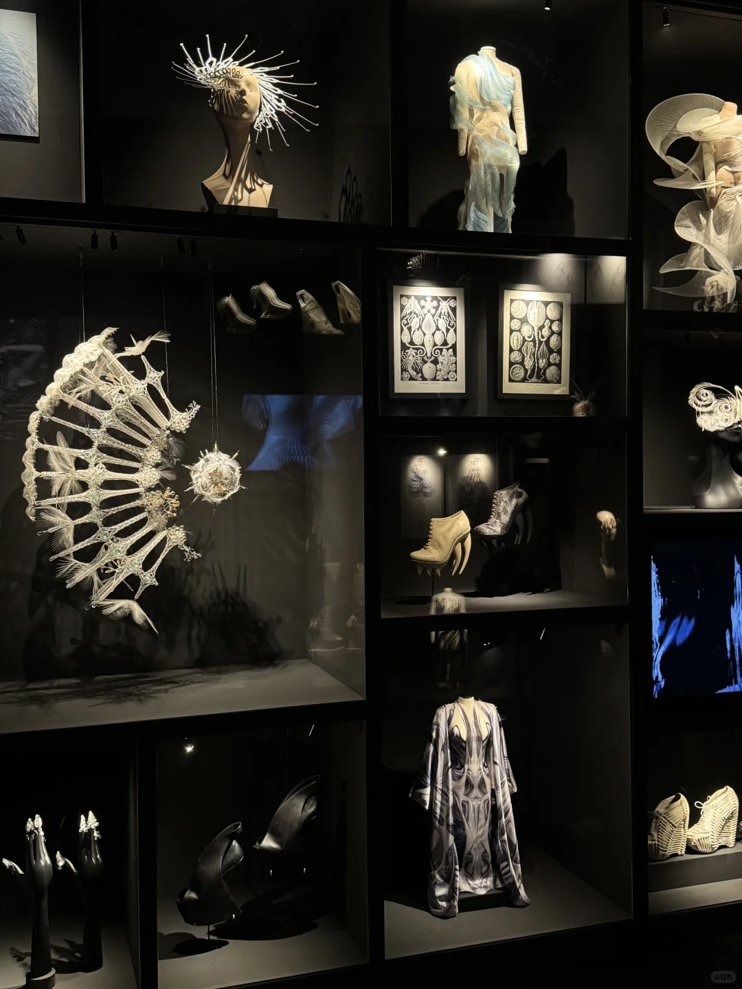 Iris van Herpen | 梦境与现实的边界