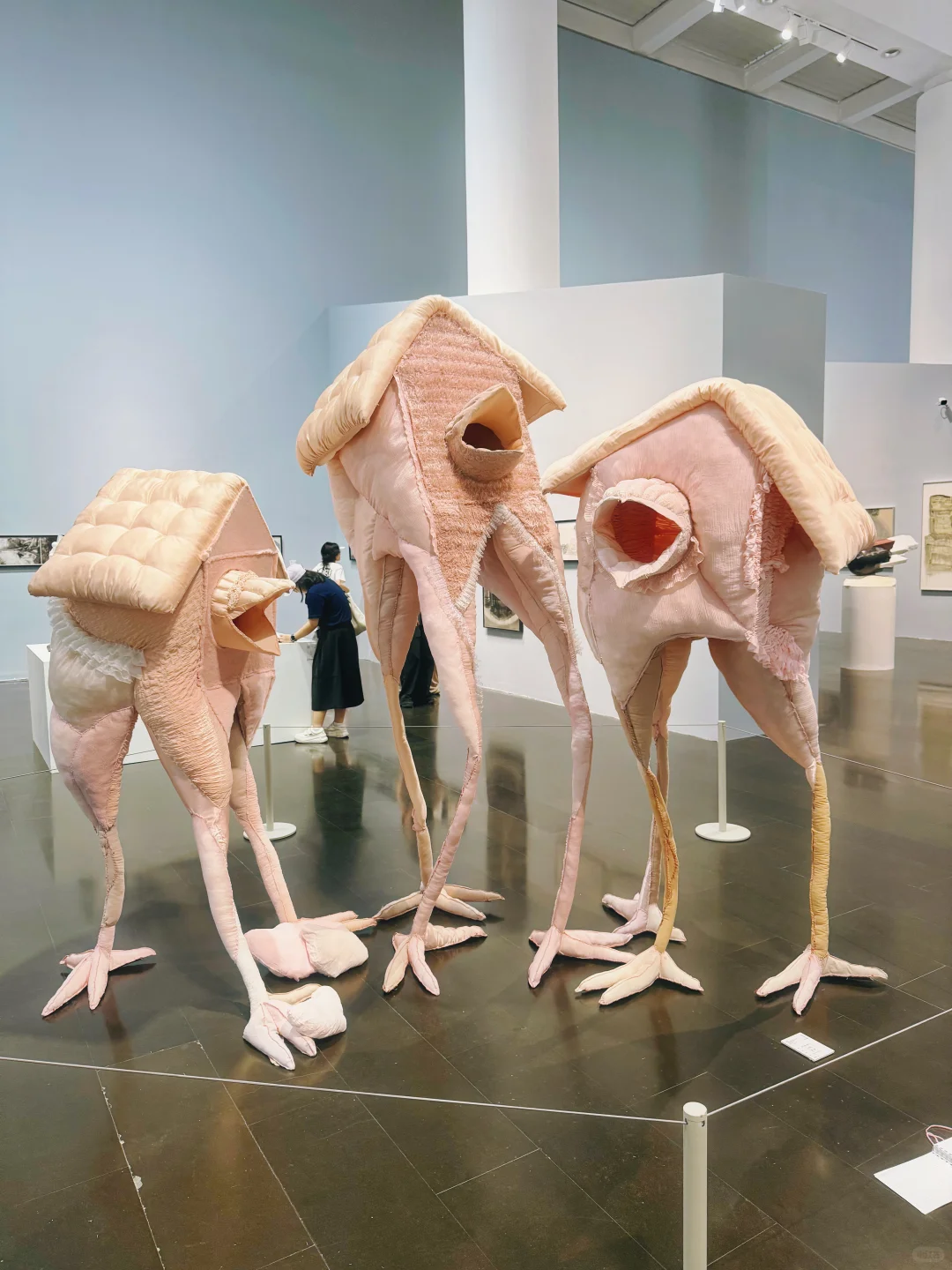 来看了清美本科毕业展