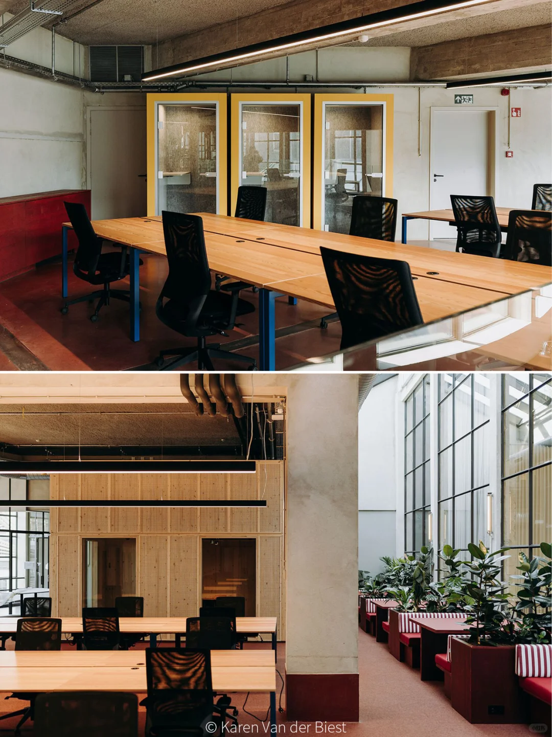 真·牛马?就来“马戏团”里办公