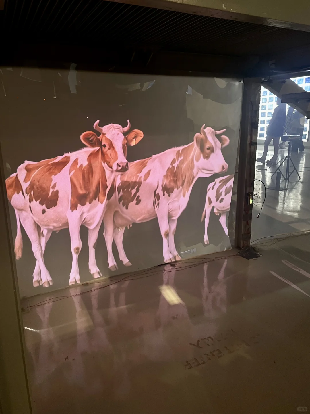 ?广美毕业展压轴大戏！第三期冲鸭～