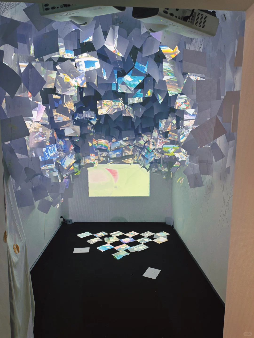 来看了清美本科毕业展