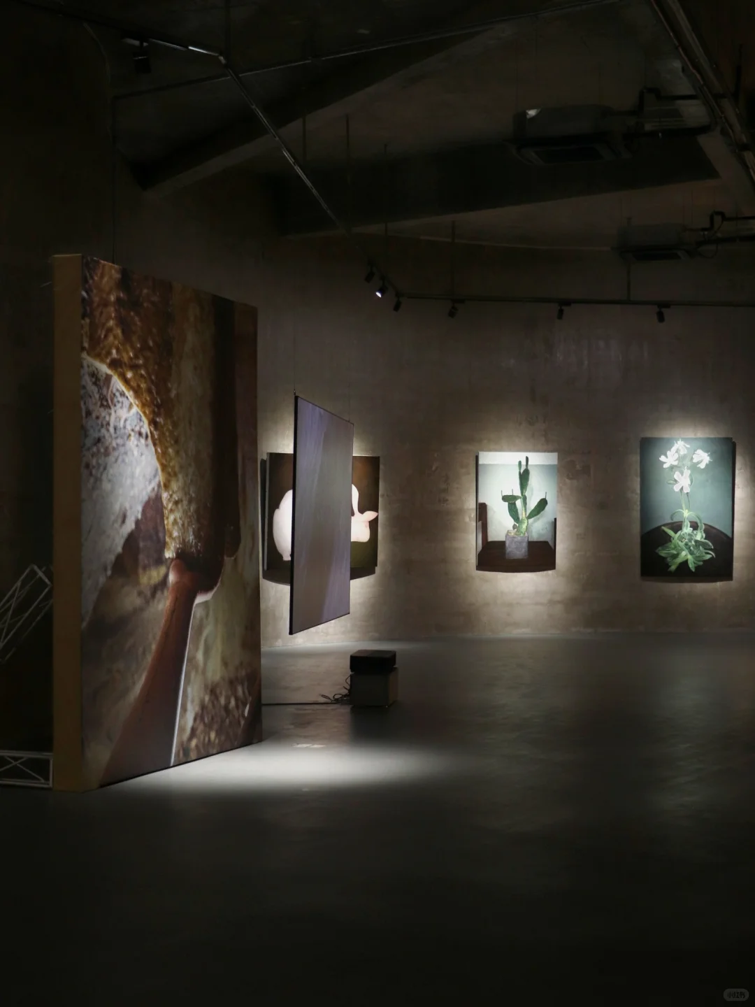 ?宁波看展丨怪诞震撼?山林艺术乌托邦