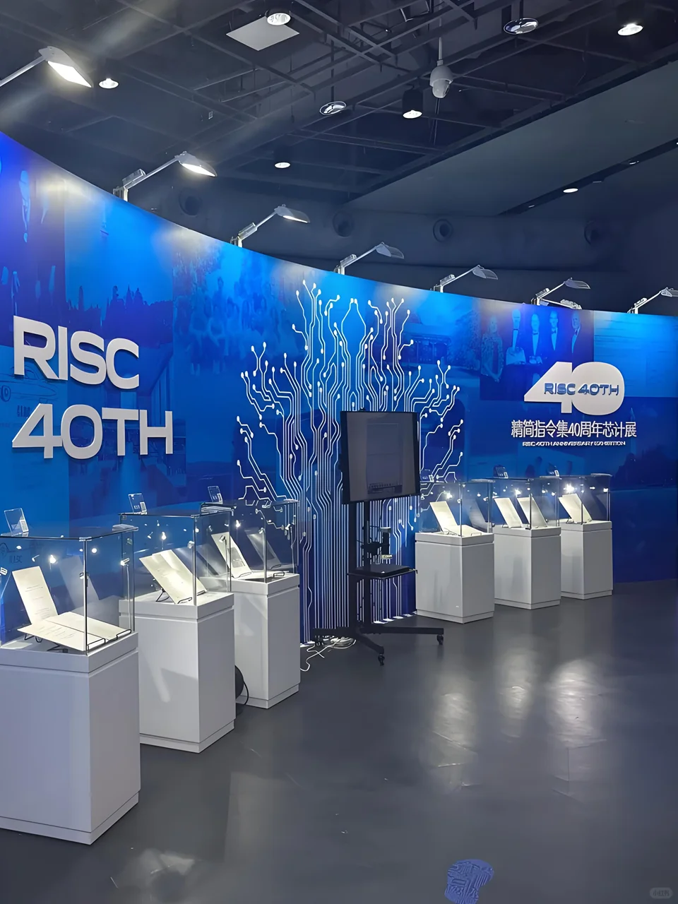 溜娃好去处，深圳最魔幻的展览馆