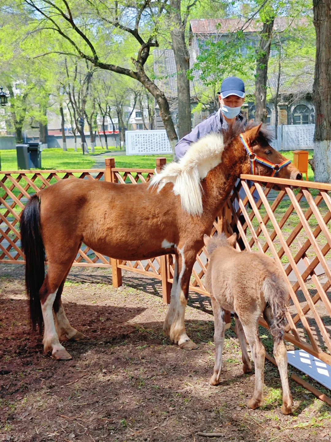 [小众遛娃地]穿越百年的工业机械展览馆⚙️