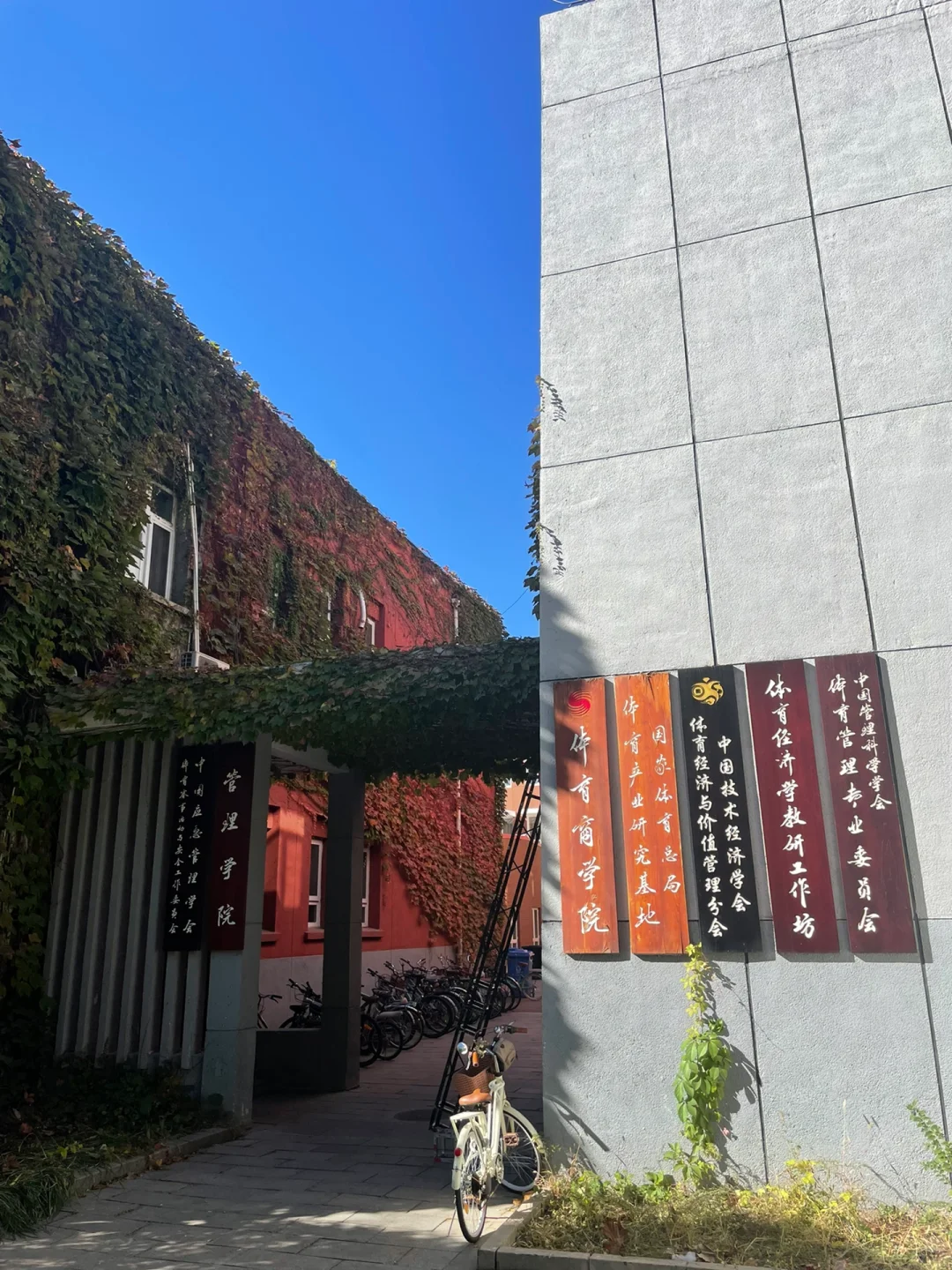 BSU | 中国体育产业价值创新论坛