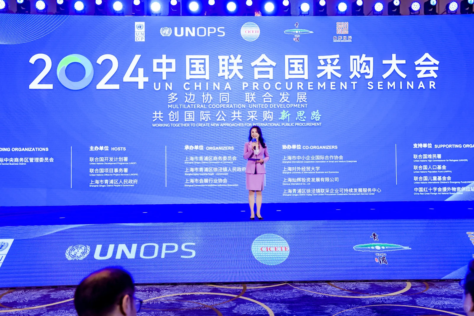 联合国采购大会主持工作片段